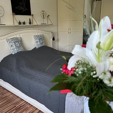 Milet Style And Spacy 2 With Ac In Nivy