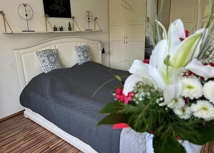 Milet Style And Spacy 2 With Ac In Nivy