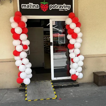 Milet Style And Spacy 2 With Ac In Nivy Apartman Pozsony